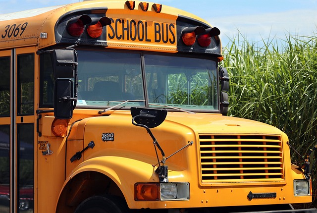 Proč u nás nejsou zavedeny školní autobusy jako například v USA?
